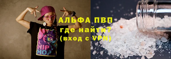 индика Балахна
