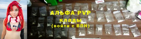 индика Балахна