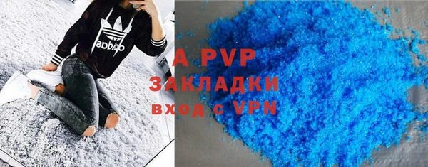 индика Балахна