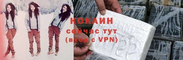 индика Балахна