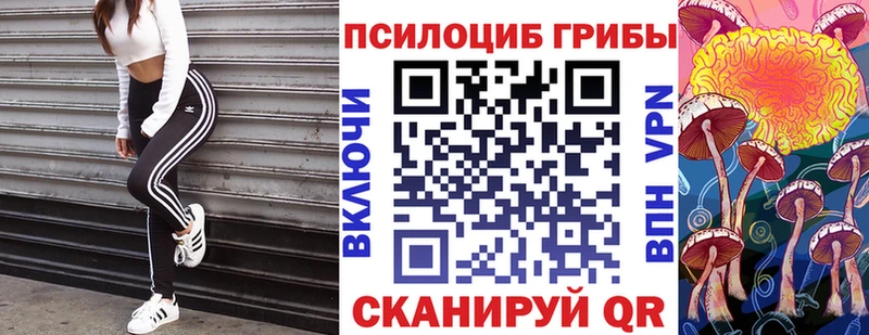 Псилоцибиновые грибы Cubensis Ногинск